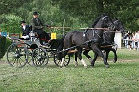 IMG_0041