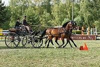 IMG_0045