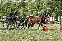 IMG_0046