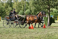 IMG_0048