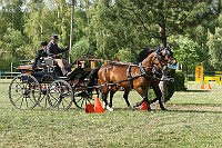 IMG_0049