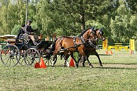 IMG_0050