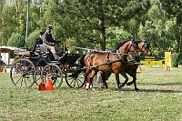 IMG_0051