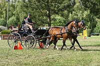 IMG_0052
