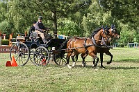 IMG_0053