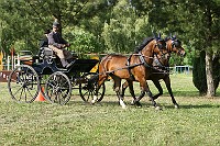 IMG_0054