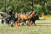 IMG_0055