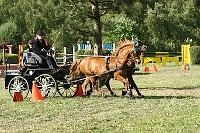 IMG_0056