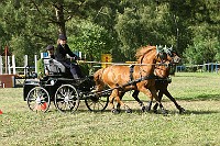 IMG_0058