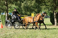 IMG_0059