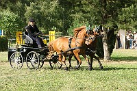 IMG_0060
