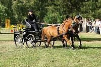 IMG_0061