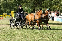 IMG_0062