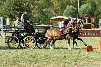 IMG_0063