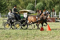IMG_0064