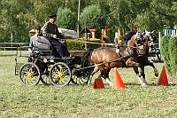IMG_0065