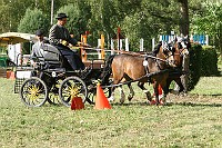 IMG_0066