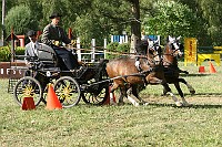 IMG_0067