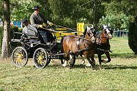 IMG_0070