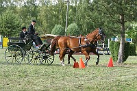 IMG_0071