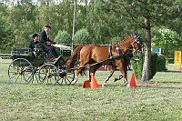 IMG_0072