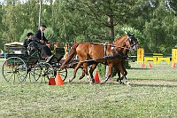 IMG_0073