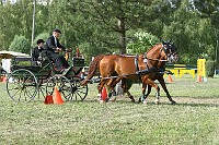 IMG_0074