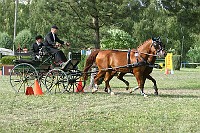IMG_0075