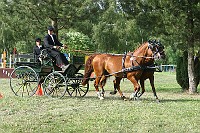 IMG_0077