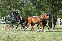 IMG_0078