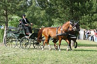 IMG_0079