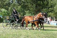 IMG_0080