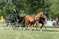 IMG_0081
