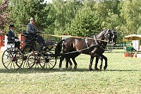 IMG_0082