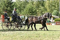 IMG_0083