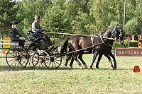 IMG_0084