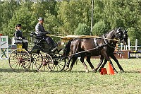 IMG_0086