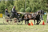 IMG_0087