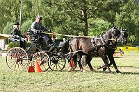IMG_0090