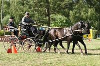 IMG_0091
