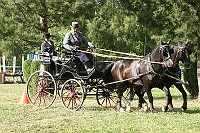 IMG_0094