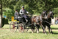 IMG_0096