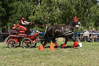 IMG_0003