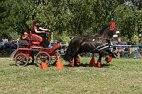 IMG_0004