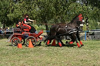 IMG_0005