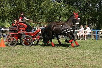 IMG_0007