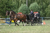 IMG_0008