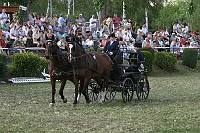 IMG_0009