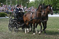 IMG_0010