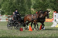 IMG_0011
